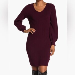 Nina Leonard V-neck Balloon Sleeve Sweater Dress